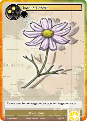 Elshan Flower